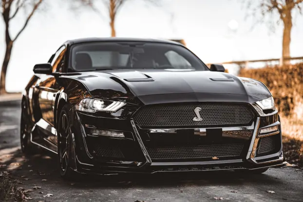 CoolPlay Casino Application Android/iOS